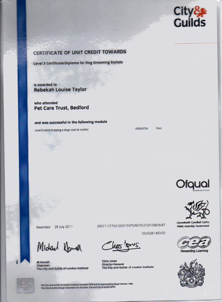 City and guilds level 3 sales dog grooming